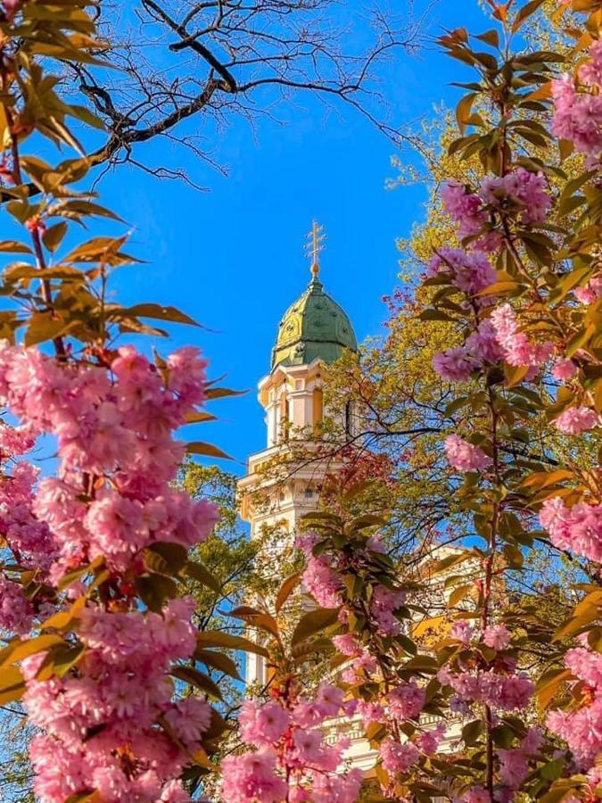 Старовинні Апартаменти У Центрі Міста Uschhorod Exterior foto